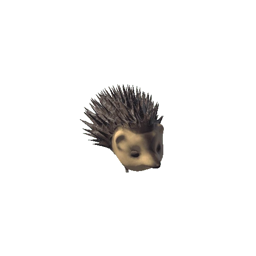 Dad Hedgehog